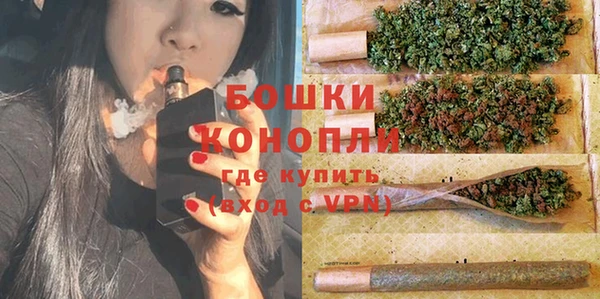 спайс Богданович