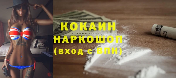 крисы Няндома