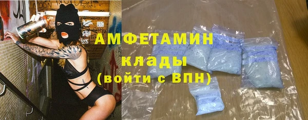 спайс Богданович