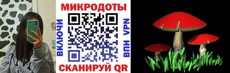 купить  сайты  Кировск  Галлюциногенные грибы Magic Shrooms 